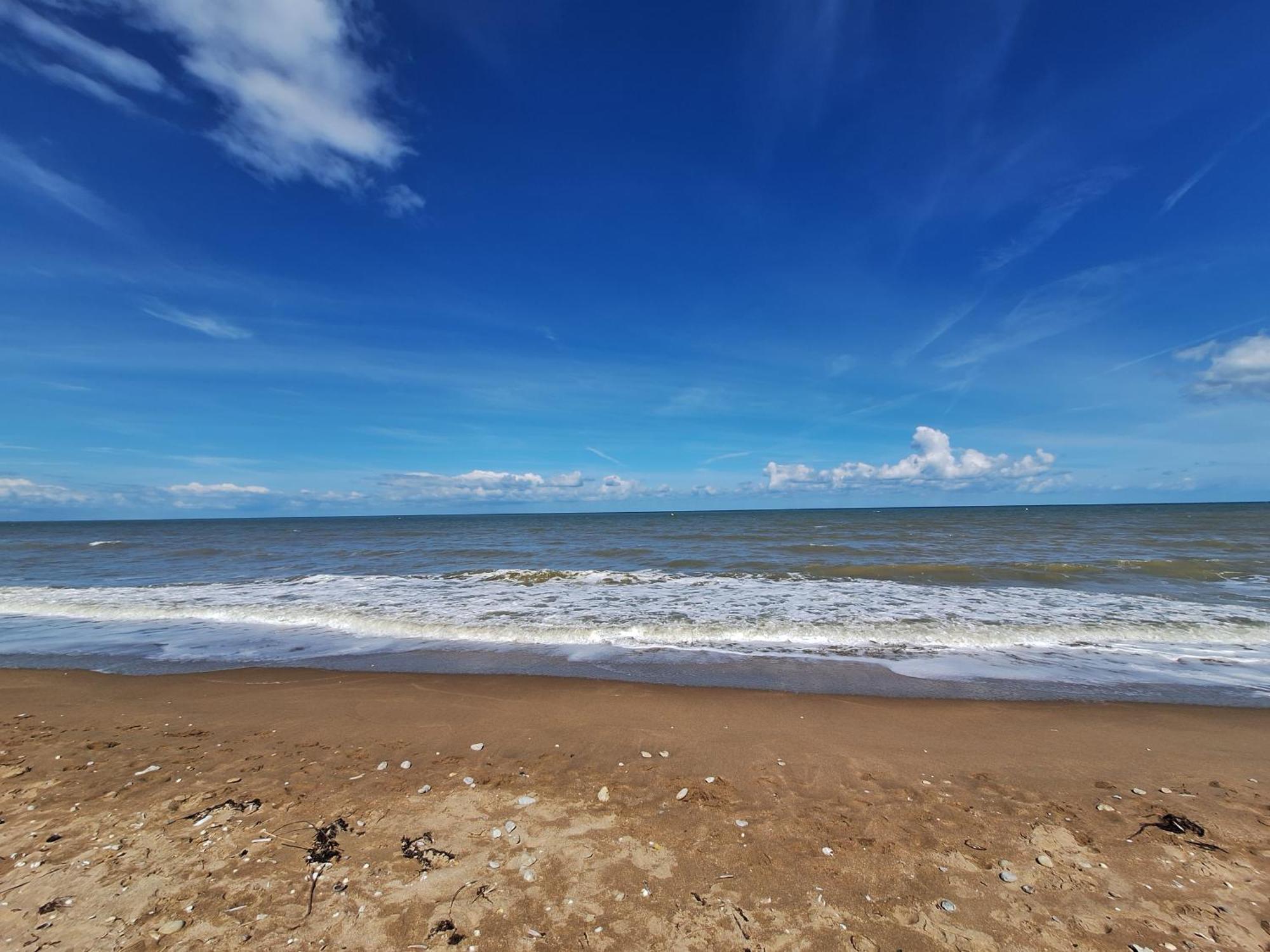 Super Deauville Appartement 2 Pieces Cosy Proche Plage Plein Sud ヴィレ・シュル・メール エクステリア 写真